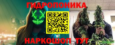 эйфоретик Коммунар