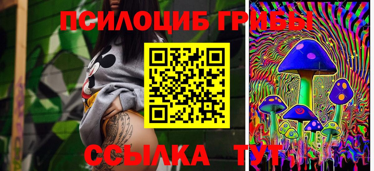 Галлюциногенные грибы мицелий  Вход с VPN  наркотики  Кириши 